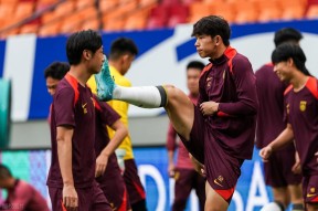 新疆广汇集团简介资料